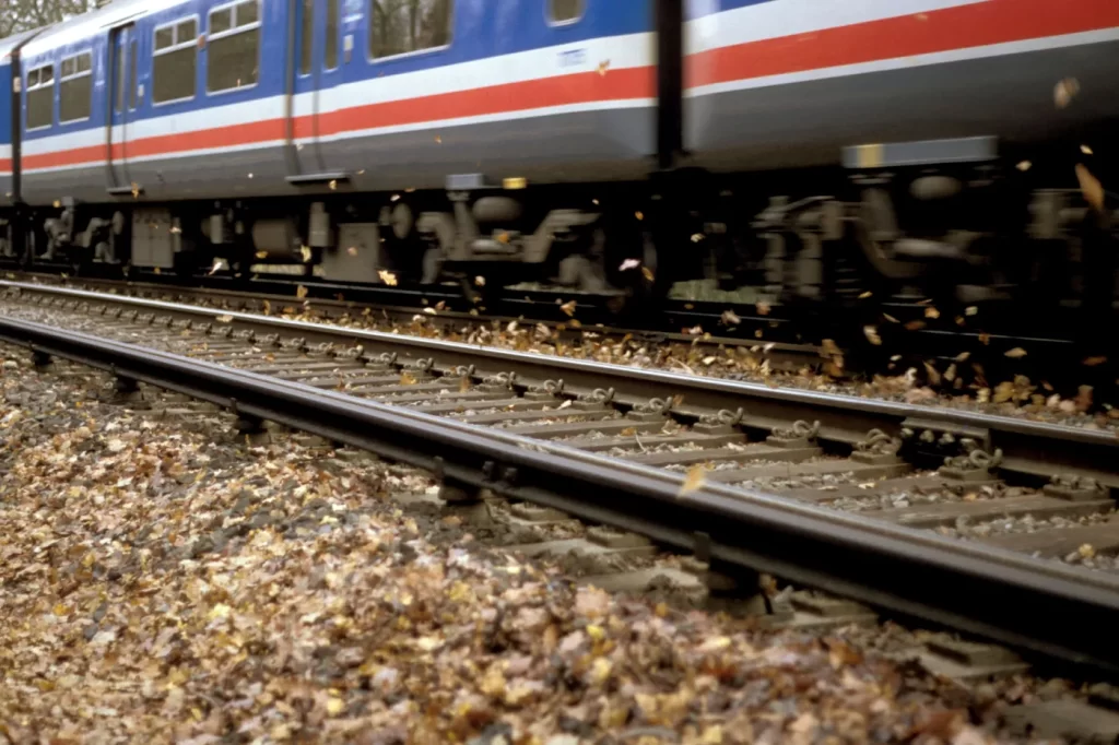 Wet Leaves Are the Enemy of the Suburban Commuter